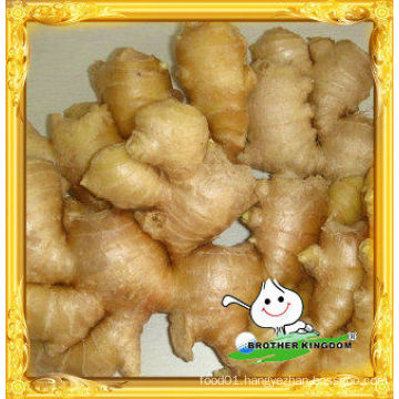 New crop fresh ginger/Best price ginger/ Fresh ginger China
